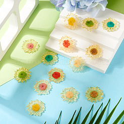 14Pcs 7 Colors Translucent Resin Pendants&nbsp;RESI-TA0003-40