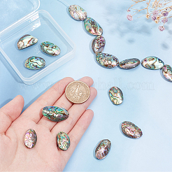 天然アワビ貝/パウア貝ビーズ1連  フラットオーバル  カラフル  24~32x14~19x4mm  約15~16個/連  15.5インチ&nbsp;BSHE-BC0001-16