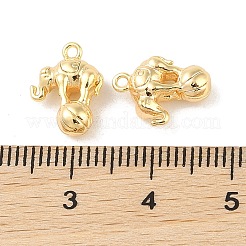 Brass Charms&nbsp;KK-Q816-28G