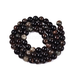 Natural Biotite Beads Strands&nbsp;G-Q616-01B