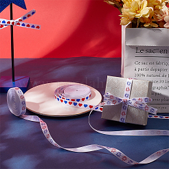 2 Rolls 2 Styles Independence Day Themes Polyester Ribbon&nbsp;OCOR-GF0004-50C