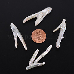 ナチュラルケシパールビーズ  養殖淡水パール  穴なし/ドリルなし  鶏の足  貝殻色  32~50x9~25x4~8mm&nbsp;PEAR-N020-P01