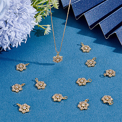 12Pcs Brass Micro Pave Cubic Zirconia Pendants&nbsp;KK-ME0004-66