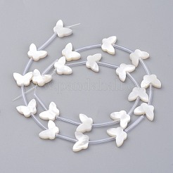 Natural White Shell Mother of Pearl Shell Beads&nbsp;SSHEL-L018-013