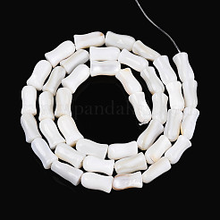 Natural Freshwater Shell Beads Strands&nbsp;SHEL-N038-03