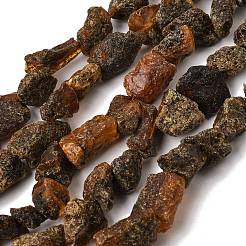 未加工の天然琥珀ビーズ連売り  ナゲット  11~26x11.5~15x8~10mm  穴：1mm  約29~33個/連  14.76''（37.5~39センチメートル）&nbsp;GG-CBAC13F-D01-02