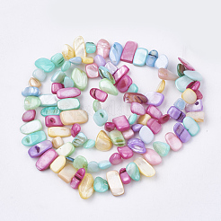 Freshwater Shell Beads Strands&nbsp;SHEL-S274-40L