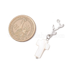6Pcs 6 Styles Natural Freshwater Shell Pendants&nbsp;PALLOY-JF04148-02