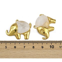 304 Stainless Steel Resin Pendants&nbsp;STAS-L302-05G