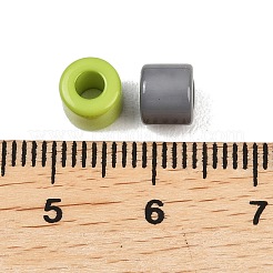 不透明焼付塗装アクリルビーズ  コラム  ミックスカラー  6x5mm  穴：3mm&nbsp;OACR-B051-05