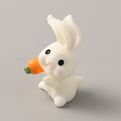 Resin Display Decorations&nbsp;DJEW-WH0038-58I