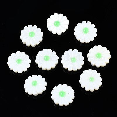 Natural Freshwater Shell Beads&nbsp;SHEL-N026-143A-149C-1