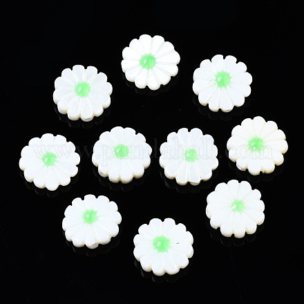 Natural Freshwater Shell Beads SHEL-N026-143A-149C-1