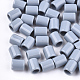 Acrylic European Beads&nbsp;SACR-T344-02F-1