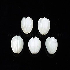天然トロチッドシェル/トロカスシェルビーズ  花  ホワイト  10x7.5mm  穴：1mm