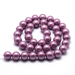 Polished Round Grade A Shell Pearl Bead Strands&nbsp;LS-BSHE-M027-6mm-11