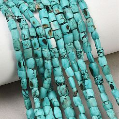Dyed Natural Crackle Turquoise Beads Strands&nbsp;G-K365-G03-02