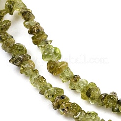 天然石ペリドットビーズ連売り  グレードA  チップ  3~5x3~5x2mm  穴：1mm  32.01''（81.3センチメートル）&nbsp;X-G-P332-48-02