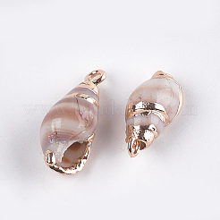 電気メッキ巻き貝ペンダント  鉄パーツ  ライトゴールド  貝殻色  16~20x8~9x7~8mm  穴：1.5mm&nbsp;SSHEL-T006-13