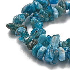 Natural Apatite Beads Strands&nbsp;X-G-F666-01B-02-01