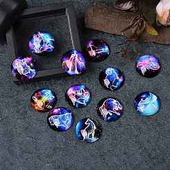5Sets 5 Styles Glass Cabochons&nbsp;GGLA-SZ0001-20