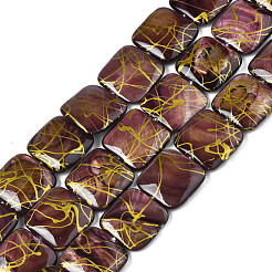 Natural Freshwater Shell Beads Strands&nbsp;SHEL-N026-173