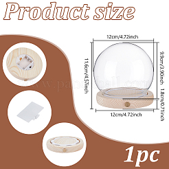 Glass Dome Cover&nbsp;AJEW-WH0752-088C