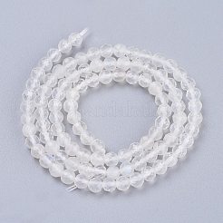 Natural Rainbow Moonstone Beads Strands&nbsp;G-R475-030