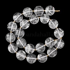 Natural Quartz Crystal Beads Strands&nbsp;G-L654-N06-01