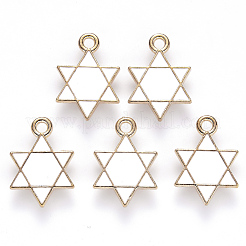 Alloy Enamel Pendants&nbsp;ENAM-S121-025