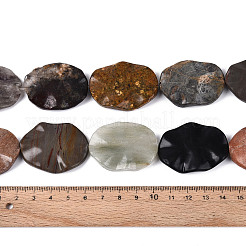 Natural Gemstone Beads Strands&nbsp;G-T143-21C