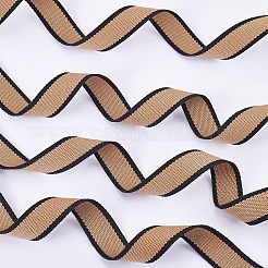 Polyester Braid Ribbon&nbsp;OCOR-WH0068-31B