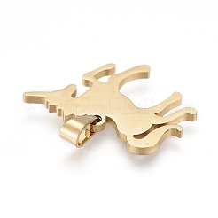 304 Stainless Steel Pendants&nbsp;STAS-K191-09G