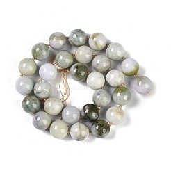 Natural Jabe Beads Beads Strands&nbsp;G-Q164-G04-01