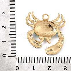 304 Stainless Steel with Enamel Pendants&nbsp;SA-CBA5C29-01C