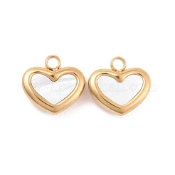 Ion Plating(IP) 304 Stainless Steel Pendants&nbsp;STAS-D188-07G