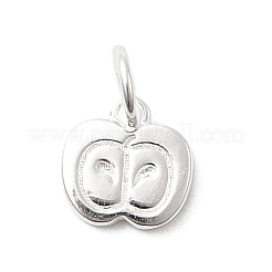 Teachers' Day 925 Sterling Silver Apple Charms&nbsp;STER-A048-19S