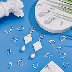100Pcs 316L Surgical Stainless Steel Leverback Earring Findings&nbsp;STAS-BBC0010-61S
