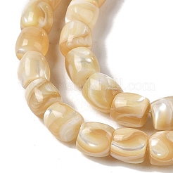Natural Trochid Shell/Trochus Shell Beads Strands&nbsp;BSHE-H018-01