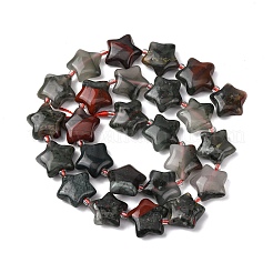 天然石インディアン瑪瑙ビーズ連売り  スター  シードビーズで  15~15.5x16~16.5x6.5~7mm  穴：1.4mm  約25個/連  15.75''~16.14''（40~41センチメートル）&nbsp;G-K359-E07