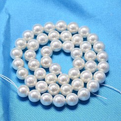 ABカラーメッキシェルパールラウンドビーズ連売り  ホワイト  10mm  穴：0.8~1mm  約40個/連  15.74インチ。&nbsp;X-BSHE-L011-10mm-C001