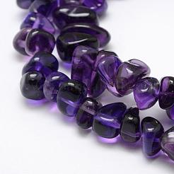 Natural Amethyst Beads Strands&nbsp;G-F521-19