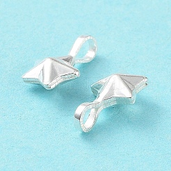 925 Sterling Silver Charms&nbsp;STER-E069-02S