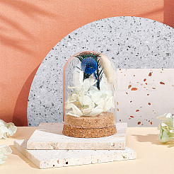 Glass Dome Cover&nbsp;AJEW-WH0307-70