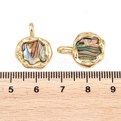 Brass Natural Paua Shell Irregular Pendants&nbsp;KK-I453-01G-01