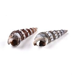 スパイラルシェルビーズ  ドリルなし/穴なしビーズ  7~19.5x2.5~6.5x3.5~6mm&nbsp;LS-SSHEL-TAC0001-02D