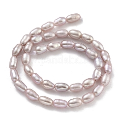 天然養殖淡水パールビーズ連売り  ライス  グレード6 A  アザミ  2.5~3mm  穴：0.3mm  約40~41個/連  7.48''~7.68''（19~19.5センチメートル）&nbsp;PEAR-P062-02B