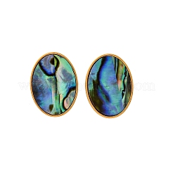 304 Stainless Steel Natural Paua Shell Stud Earrings&nbsp;EJEW-Z103-13G