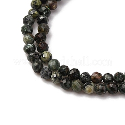 Natural Seraphinite Beads Strands&nbsp;G-RM2025-A42-3mm