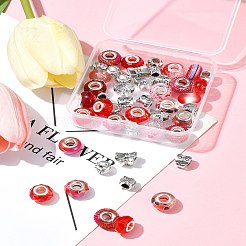 DIY Tibetan Style Alloy & Resin European Beads Making Finding Kits&nbsp;DIY-FS0006-78E